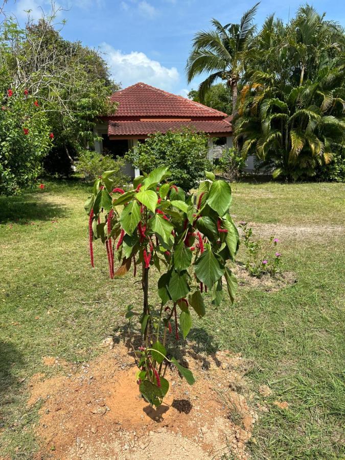 Samui Garden Resort Pantai Bangrak Luaran gambar