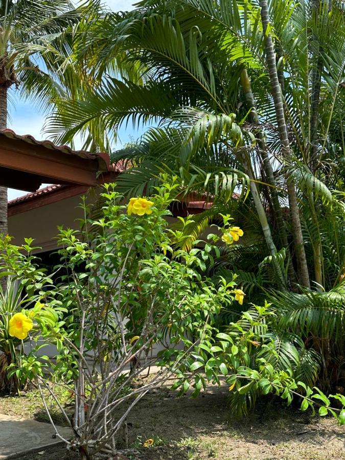 Samui Garden Resort Pantai Bangrak Luaran gambar